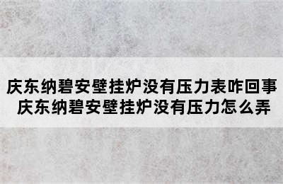 庆东纳碧安壁挂炉没有压力表咋回事 庆东纳碧安壁挂炉没有压力怎么弄